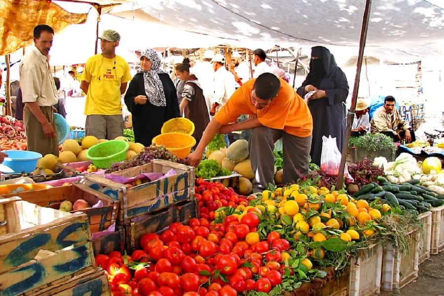 Marrakech: Atlas Mountains, Camel Ride, Waterfalls, & Lunch - Practical tips for a better day