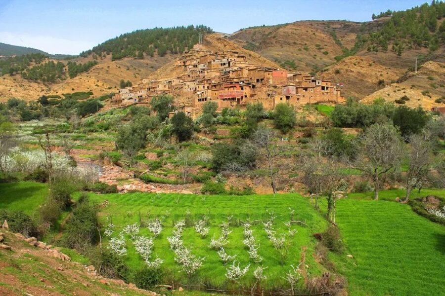 Marrakech: Atlas Mountains Day Trip, 3 Valleys & Waterfalls - The argan oil cooperative and the limits of fixed stops