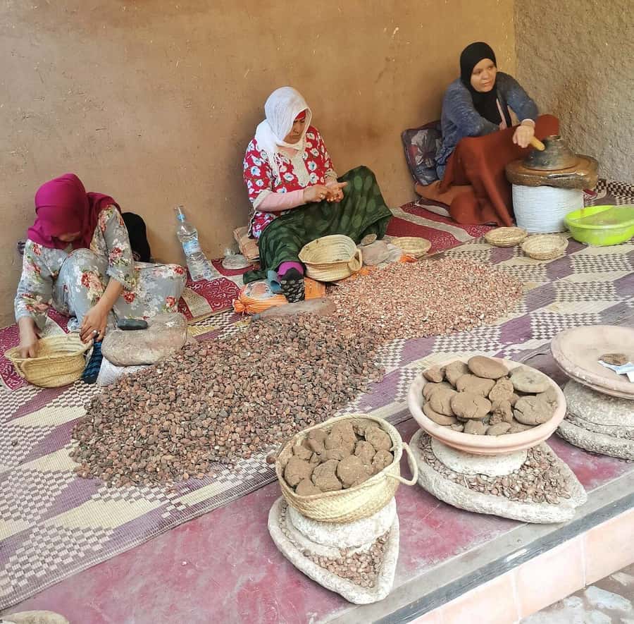 Marrakech: Atlas Mountains, Ourika Valley, Waterfall & Guide - Leaving Marrakech for the Atlas foothills