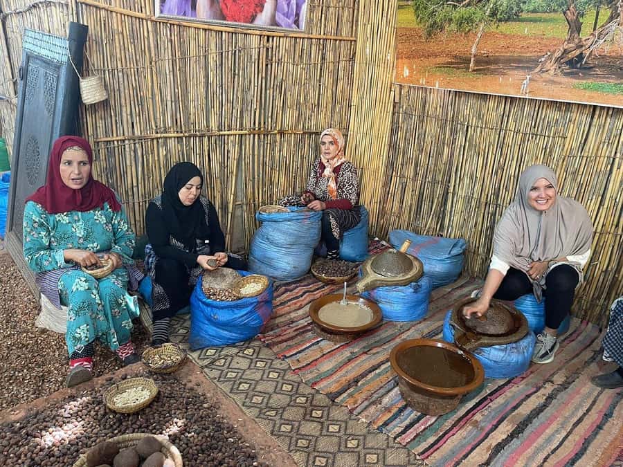 Marrakech: Atlas Mountains, Ourika Valley, Waterfall & Guide - Practical tips for a better day
