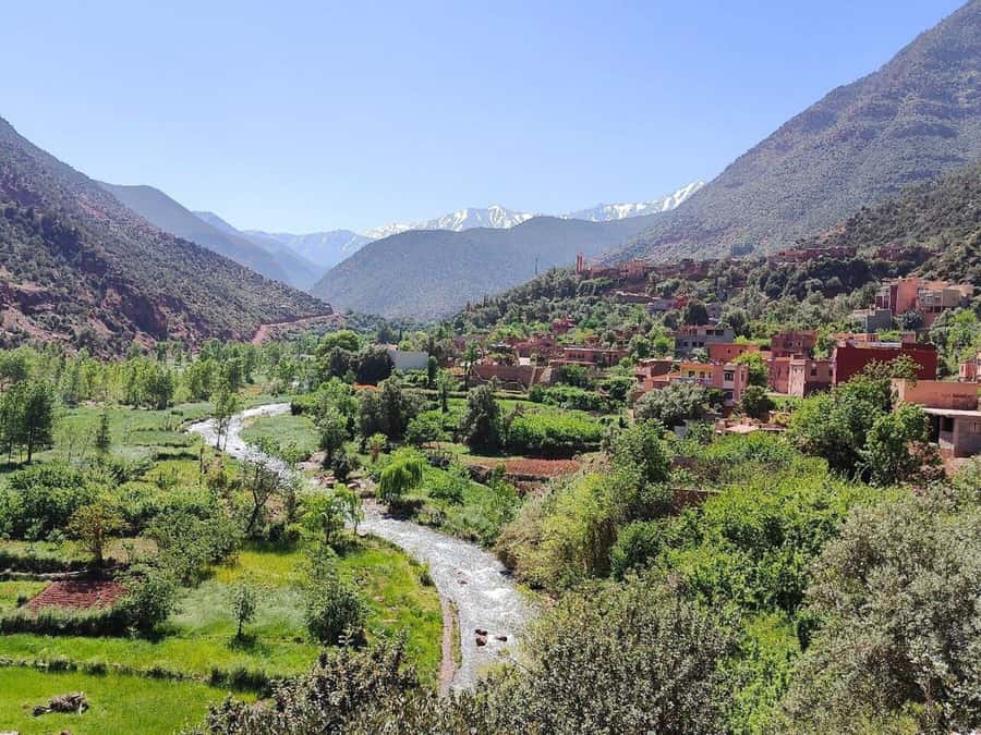 Marrakech: Atlas Mountains, Ourika Valley, Waterfall & Lunch - Practical tips for a smoother day