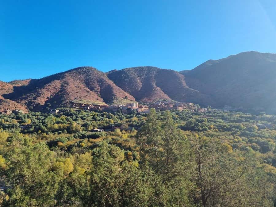 Marrakech: Atlas Mountains, Ourika Valley, Waterfall & Lunch - Who should choose this Ourika excursion?