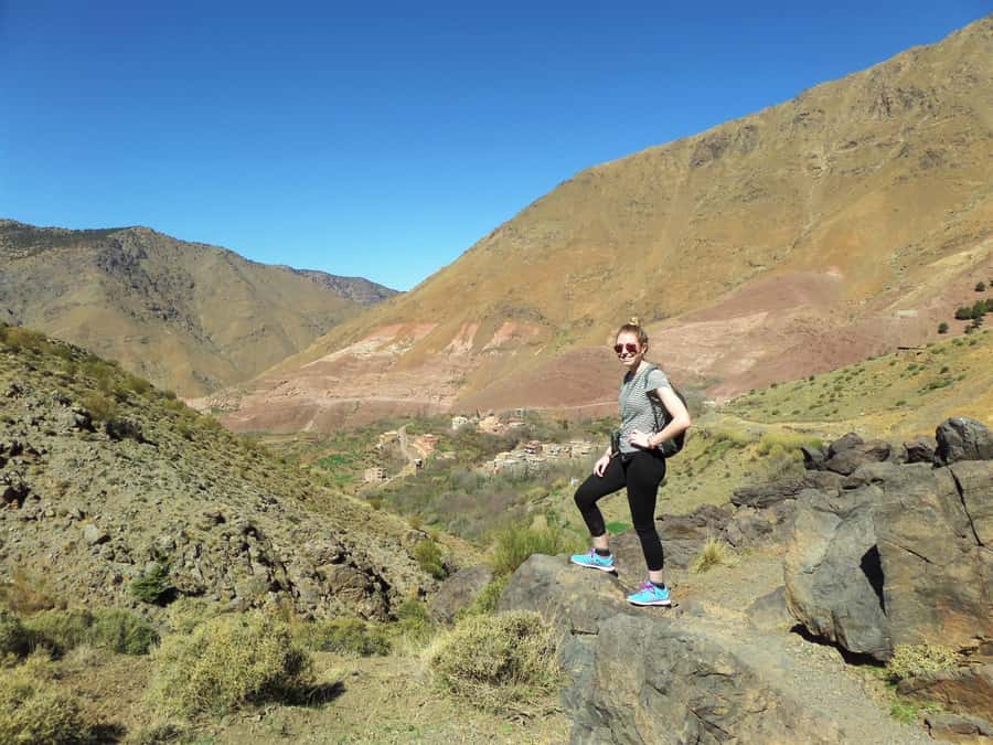 Marrakech: Atlas Mountains Summit Day Trek 2700m - Pine forest, tea, and views toward Tachedirt