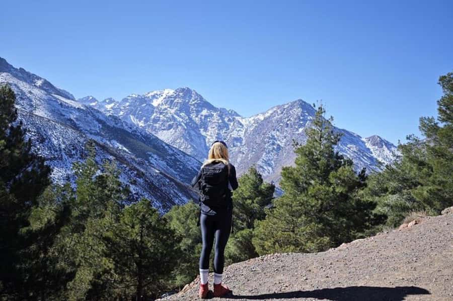 Marrakech: Atlas Mountains Summit Day Trek 2700m - The final climb to Talamrout Summit