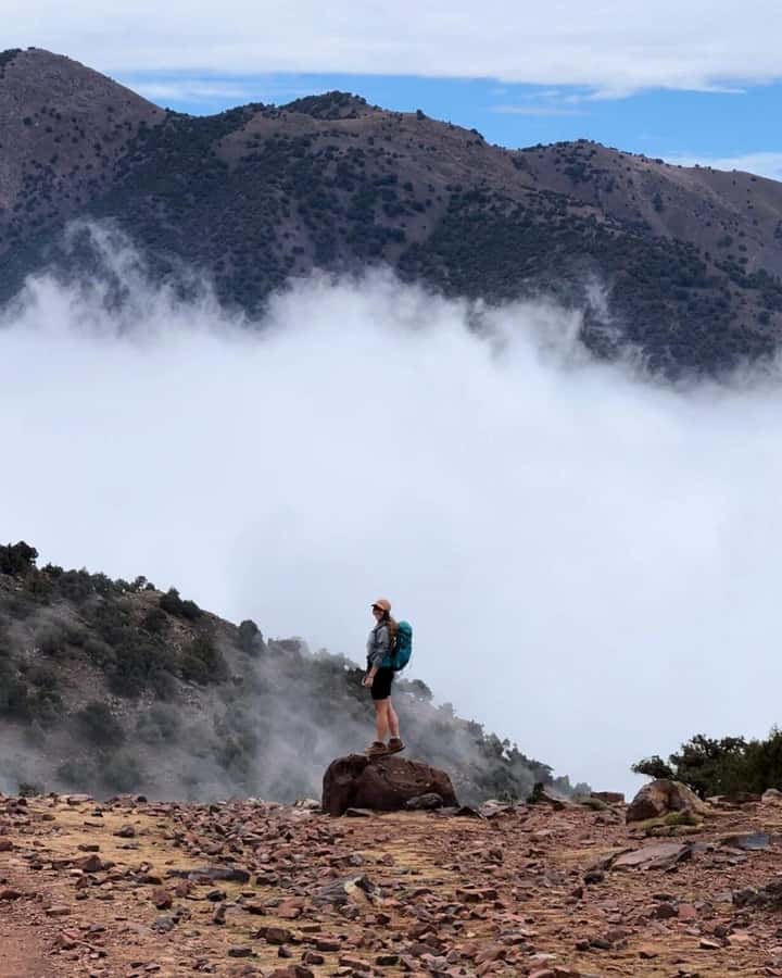 Marrakech: Atlas Mountains Summit Day Trek 2700m - Guides who shape the day