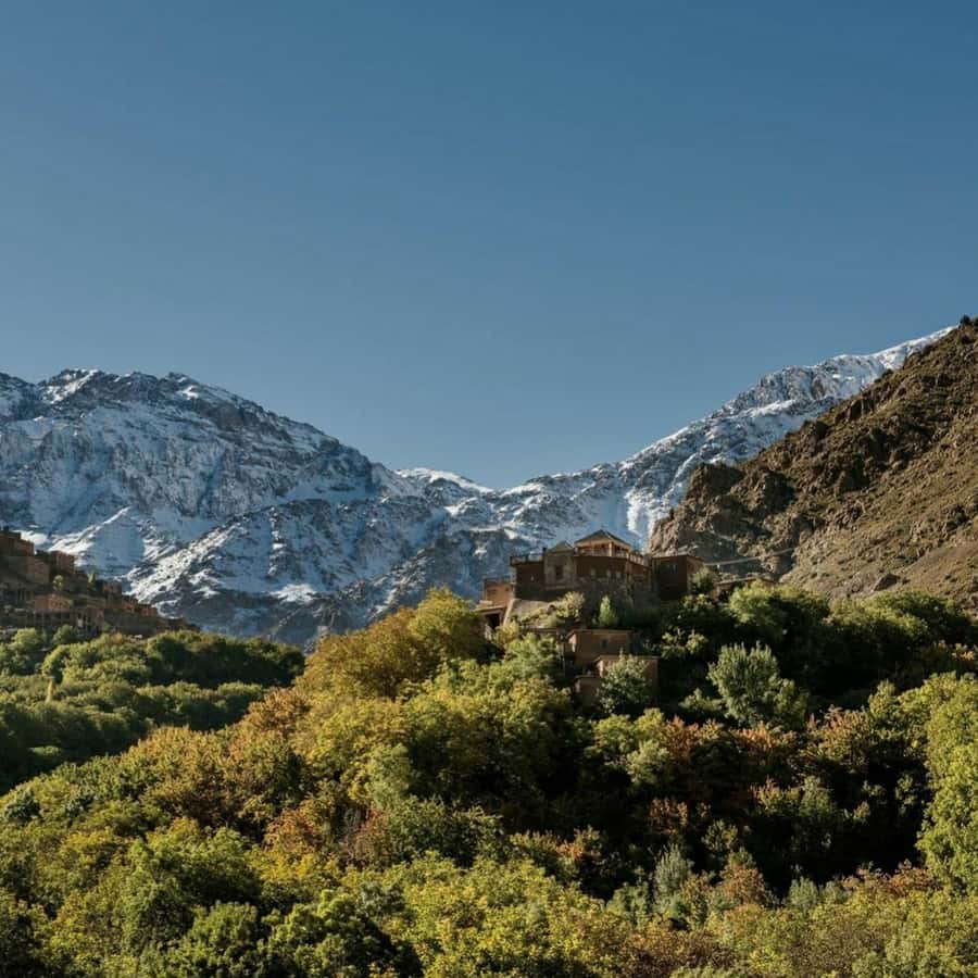 Marrakech: Atlas Mountains & Valleys Waterfall Hike w/ Lunch - Who should book this Imlil excursion?