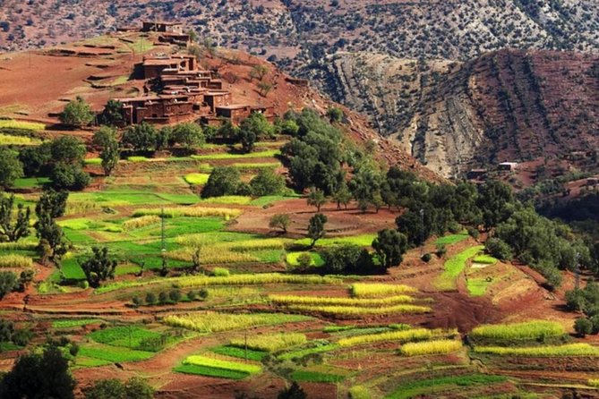 Marrakech: Atlas Mountains & Villages, Waterfalls, Camel Ride - The Return Through Ourika Valley