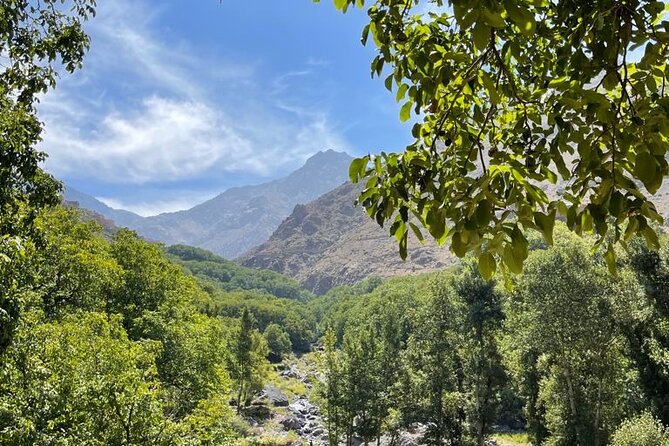 Marrakech: Atlas Mountains, Villages, Waterfalls Tour with Lunch - Kik Plateau and the ride back to Marrakech