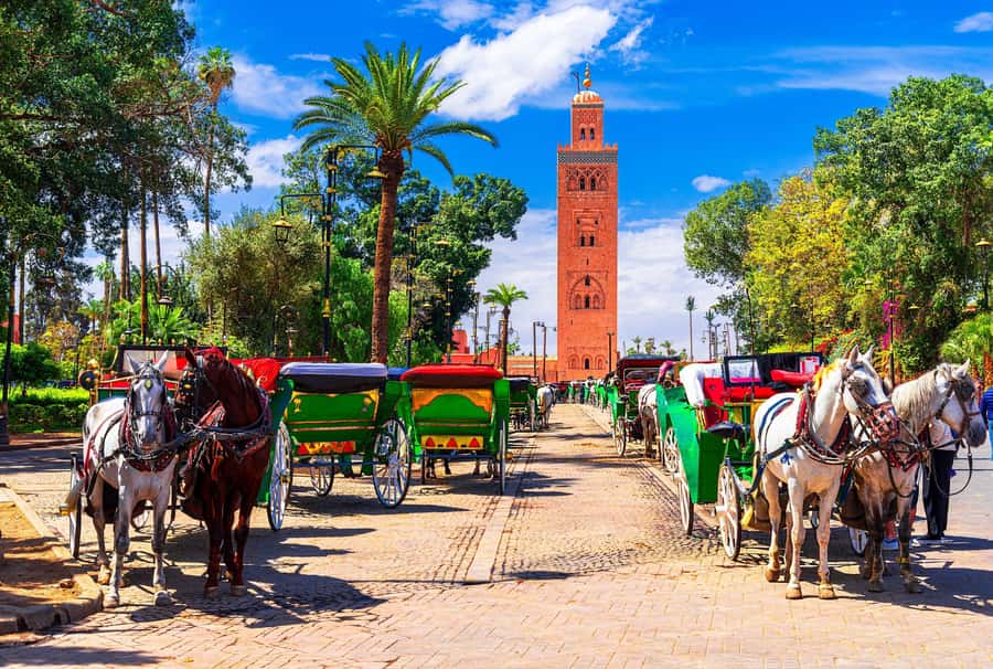 Marrakech: Bahia Palace, Madrasa Ben Youssef & Secret Garden - Koutoubia Mosque and Marrakech’s southern quarter