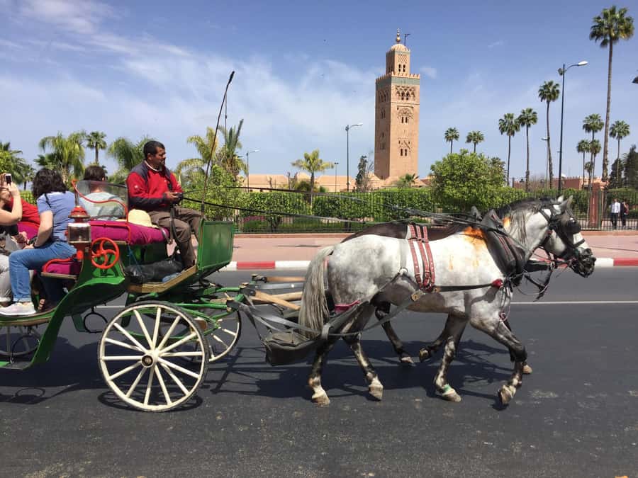 Marrakech: Bahia Palace, Saadian Tombs, & Koutoubia Mosque - Starting at Koutoubia Mosque