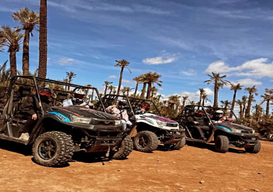 Marrakech: Buggy Experience at Palmeraie with Hotel Pickup - Off-road driving through the palm oasis