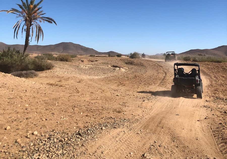 Marrakech: Buggy Experience at Palmeraie with Hotel Pickup - From your hotel to the buggy station