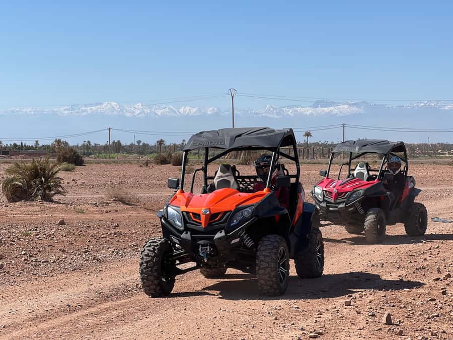 Marrakech Buggy Palmerie and Desert - Mint tea, Berber hospitality, and a useful pause