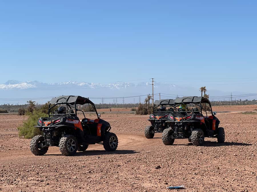 Marrakech Buggy Palmerie and Desert - Should you book the Marrakech buggy tour?