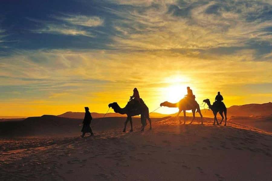 Marrakech: Camel & Quad Bike Tour with Sunset, Dinner & Show - Key points to know before booking