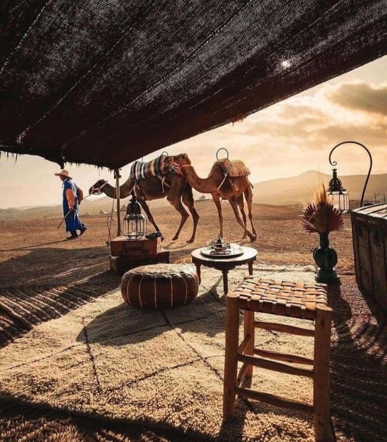 Marrakech: Camel & Quad Bike Tour with Sunset, Dinner & Show - Dinner under a Berber-style tent
