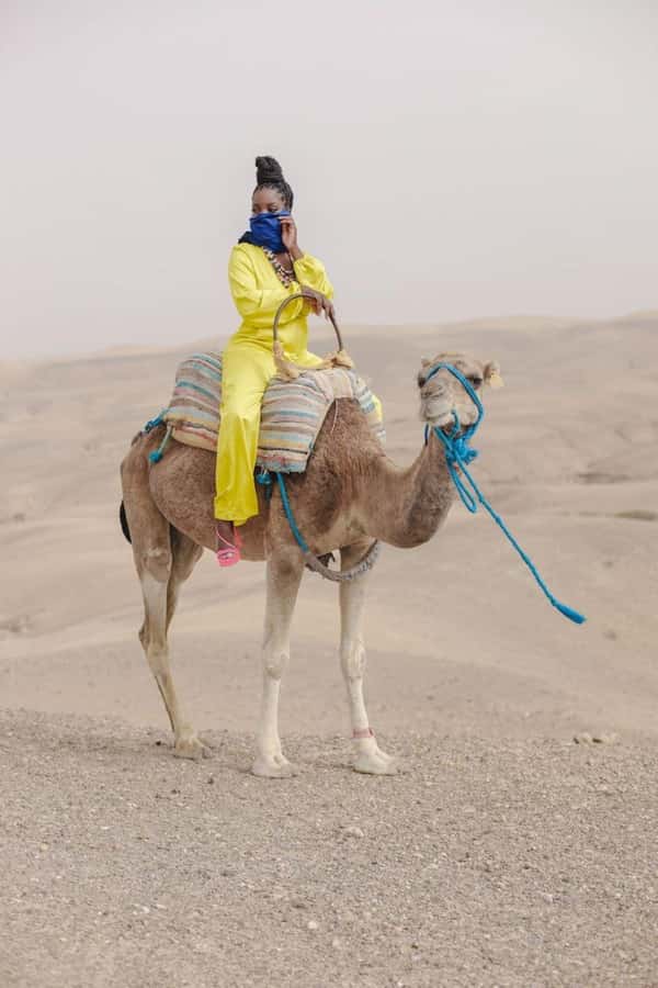 Marrakech: Camel & Quad Bike Tour with Sunset, Dinner & Show - The argan oil cooperative stop