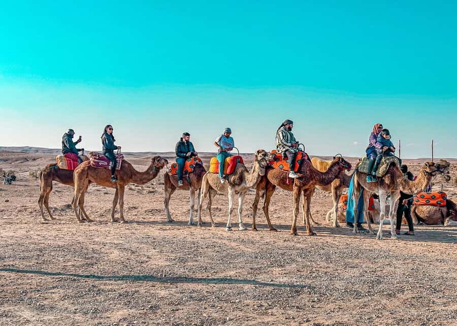 Marrakech: Camel Ride, Dinner, Pool, and Fire Show in Agafay - A 20-minute camel ride at sunset