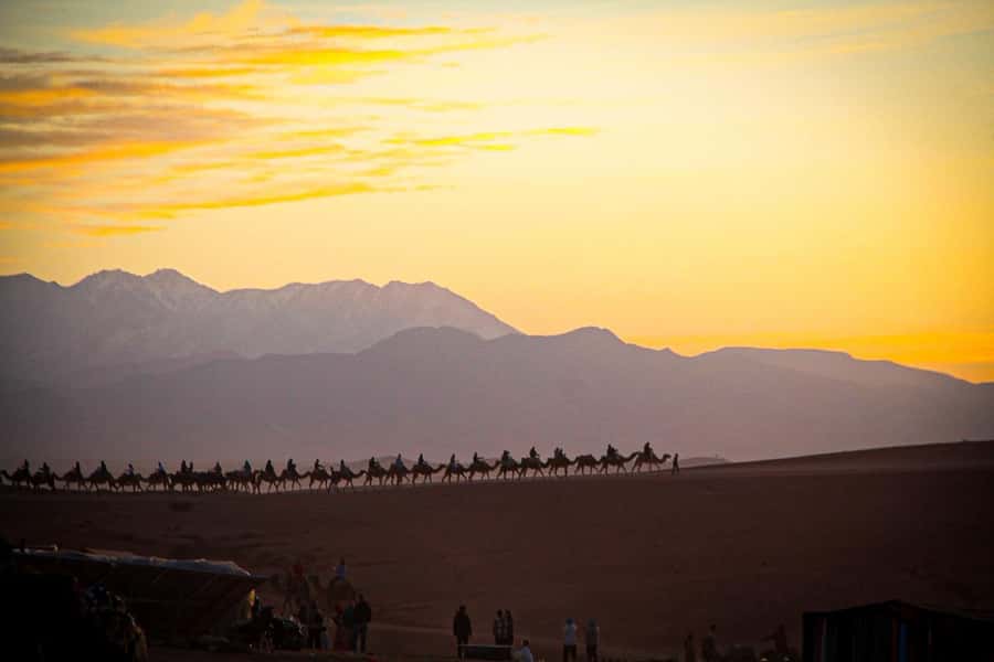 Marrakech: Camel Ride, Dinner, Pool, and Fire Show in Agafay - Mint tea, pool time, and desert-camp atmosphere