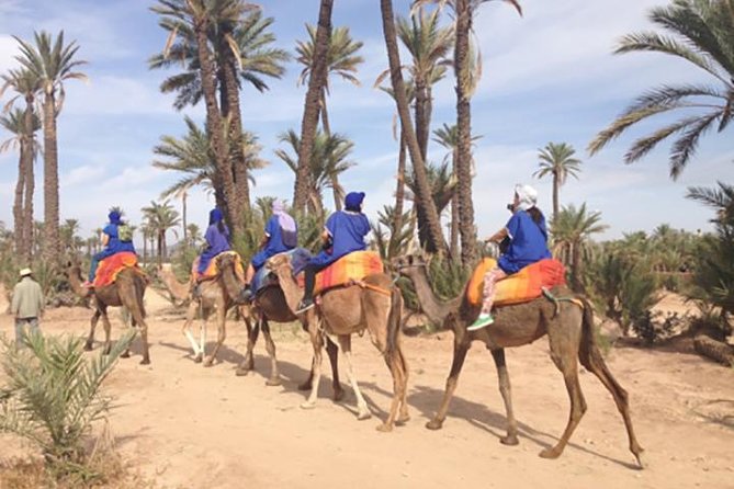 Marrakech Camel Ride Experience with Pick-up - Mounting the camels and settling into the ride
