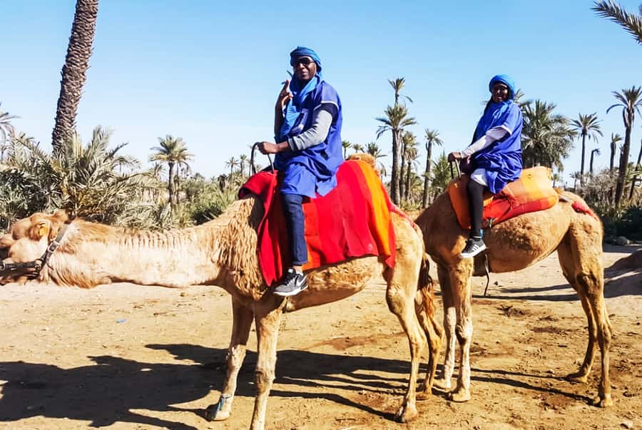Marrakech: Camel Ride in the Oasis Palmeraie - Practical tips for a smoother ride