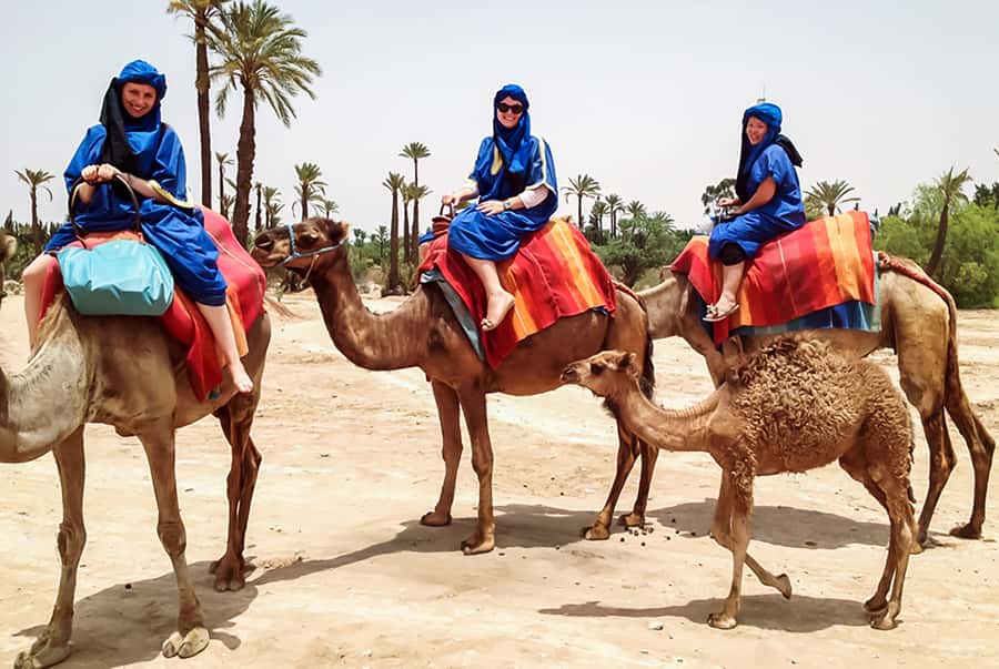 Marrakech: Camel Ride in the Oasis Palmeraie - Leaving Marrakech for the Palmeraie