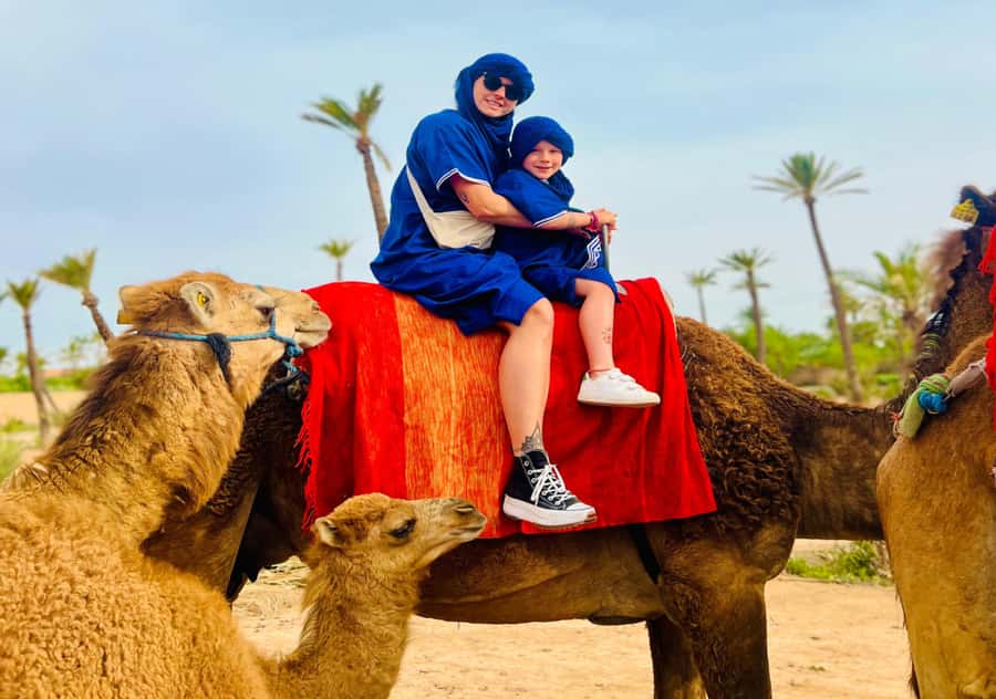 Marrakech: Camel Ride in the Oasis Palmeraie - Meeting the camels and mounting safely