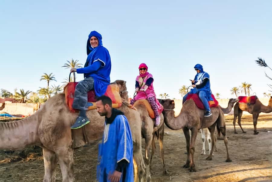 Marrakech: Camel Ride in the Oasis Palmeraie - Tea in the nomadic area