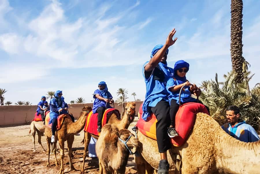 Marrakech: Camel Ride in the Oasis Palmeraie - What the scenery is really like