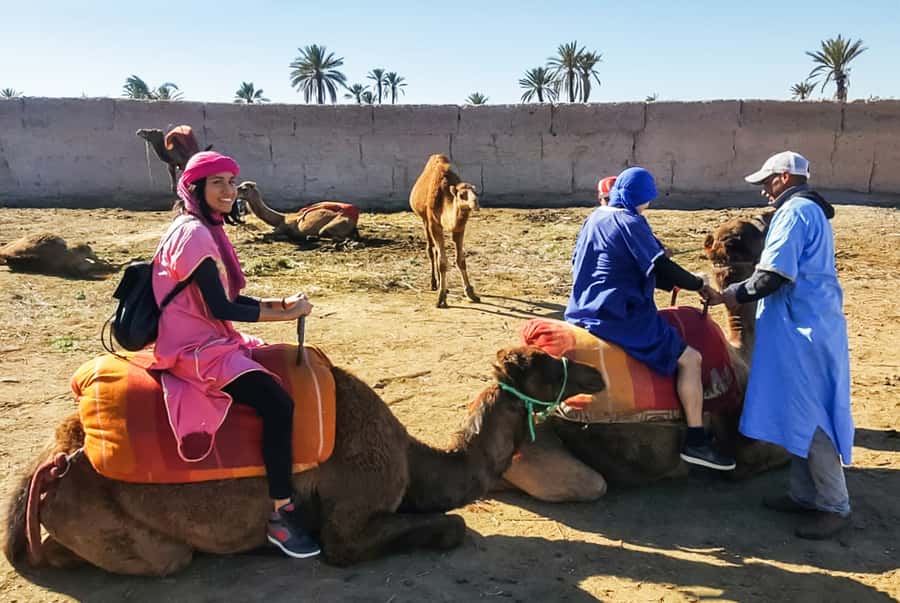 Marrakech: Camel Ride in the Oasis Palmeraie - Is $26 good value?