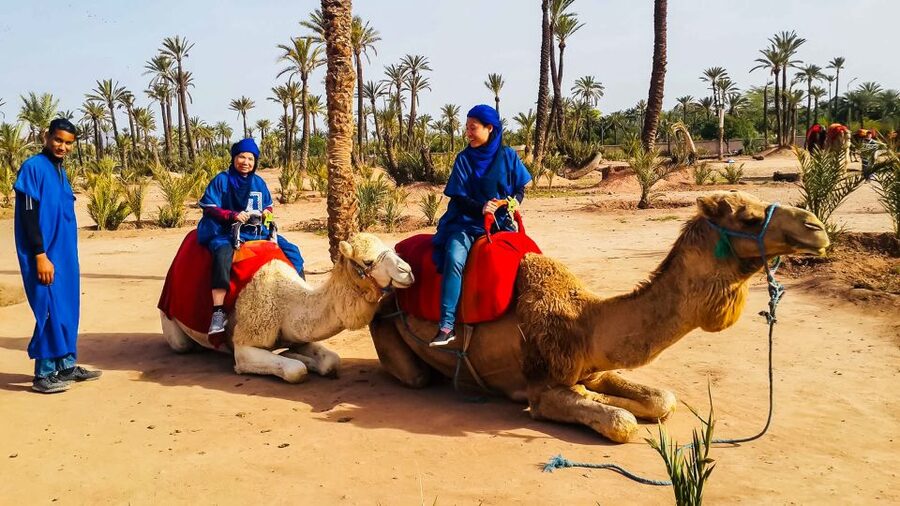 Marrakech: Camel Ride in the Oasis Palmeraie - Who will enjoy this most?