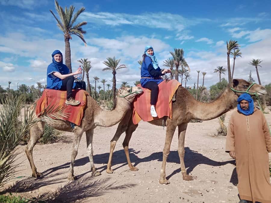Marrakech: Camel Ride in the Palm Grove - The key points at a glance