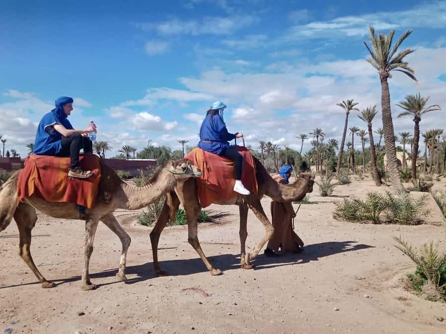 Marrakech: Camel Ride in the Palm Grove - Should you book it?