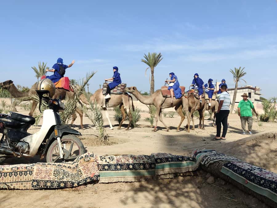 Marrakech: Camel Ride in the Palm Grove - Leaving Marrakech for the Palmeraie