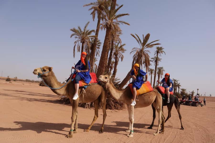 Marrakech: Camel Ride in the Palm Grove - Palm trees, village paths, and open country