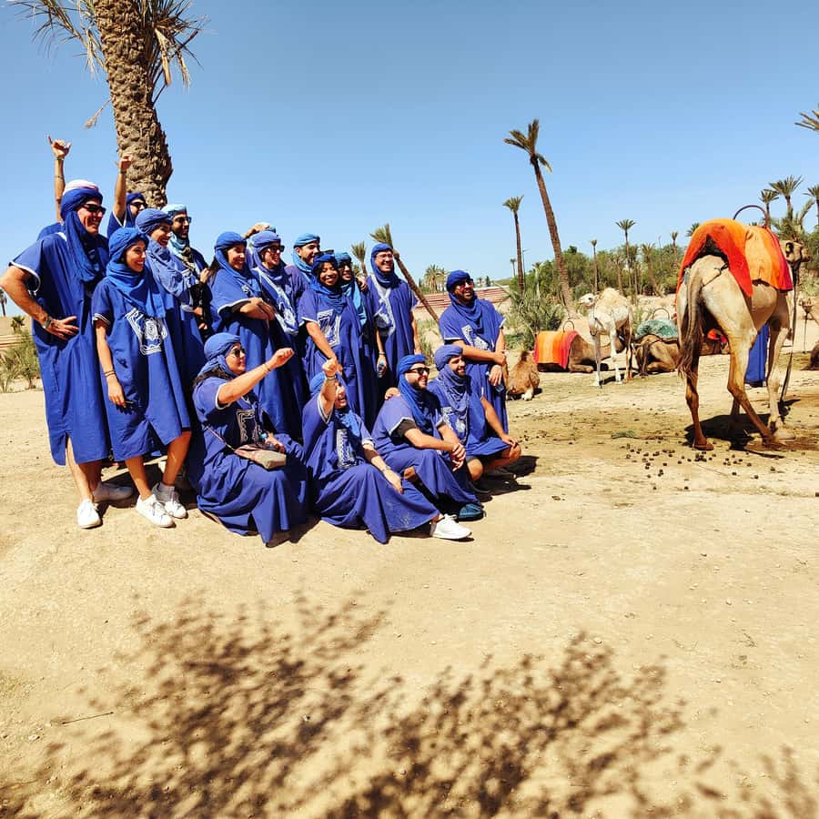 Marrakech: Camel Ride in the Palm Grove - The tea stop under a nomad tent