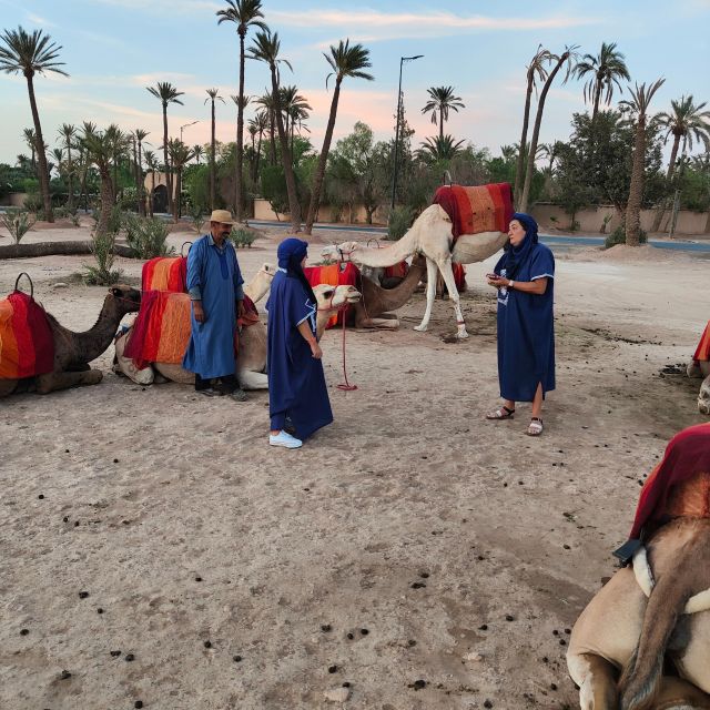 Marrakech: Camel Ride in the Palm Grove - Is $27 good value?