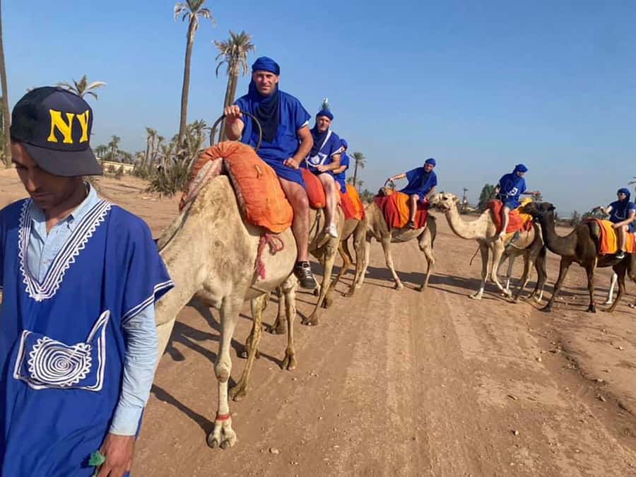 Marrakech Camel Ride in the Palmeraie Palm Grove - What the $14 Palmeraie experience includes