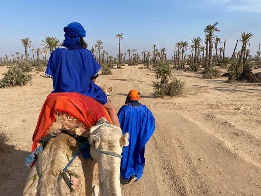 Marrakech Camel Ride in the Palmeraie Palm Grove - Pickup from Marrakech hotels and riads