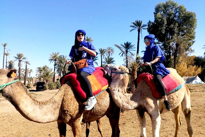 Marrakech Camel ride & Quad Bike experience in the oasis Palmeraie - Morning or Afternoon: Which Works Better?