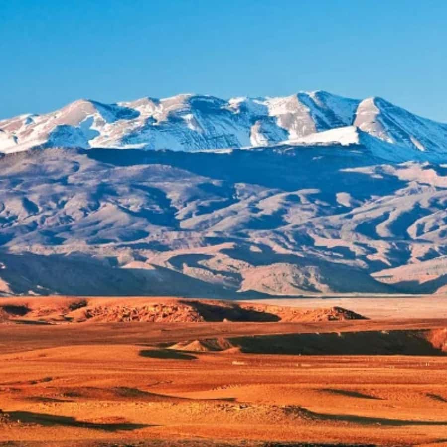 Marrakech: Camel Ride & Sunset Dinner with Fire Show - The guides shape the experience