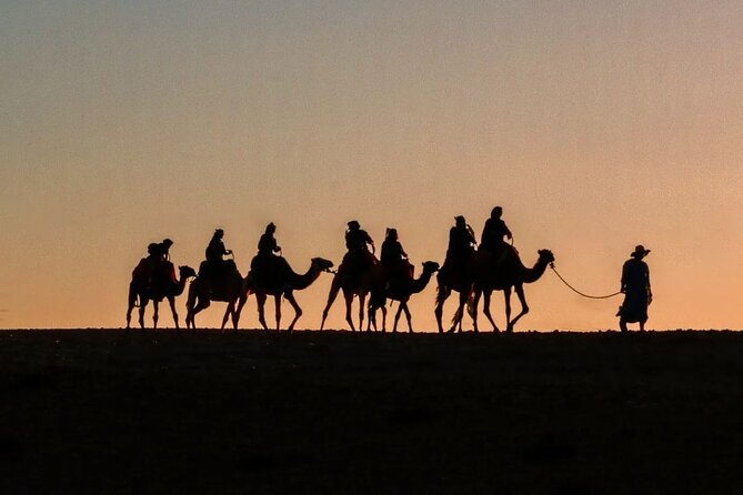 Marrakech: Camels & Quads on Sunset and Luxury Dinner with Show - Key points to know before booking
