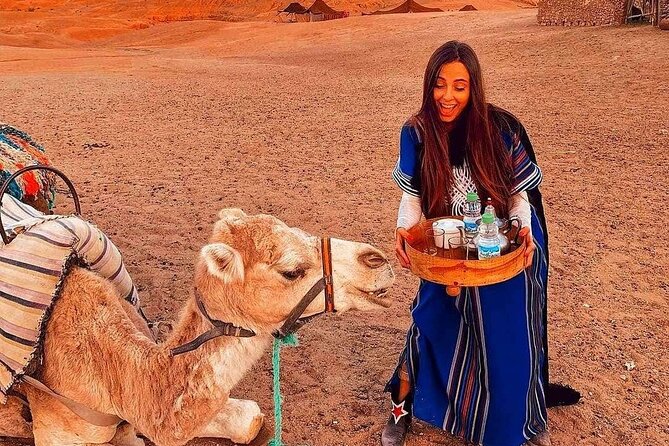 Marrakech: Camels & Quads on Sunset with Luxury Dinner, Fireshow - Half an hour on a shared quad
