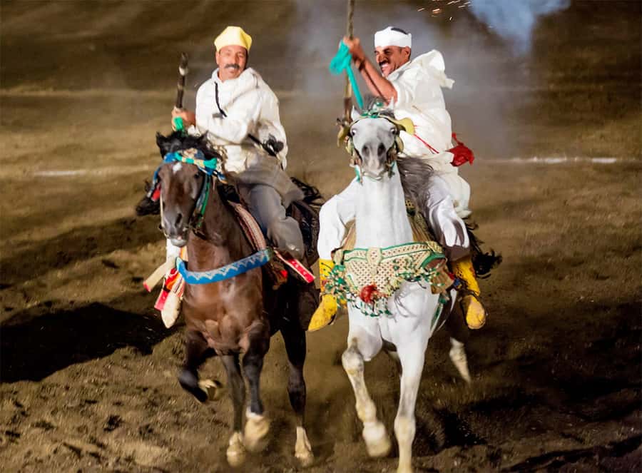 Marrakech: Chez Ali Fantasia Folklore Show & Moroccan Dinner - Who will enjoy Chez Ali most?
