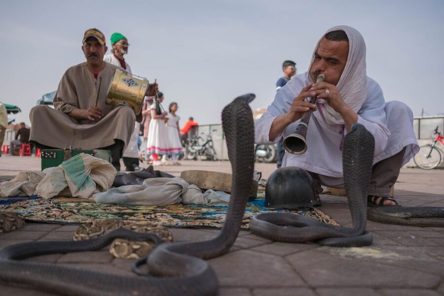 Marrakech: Customized Guided Walking Tour - Koutoubia Mosque and the old city skyline