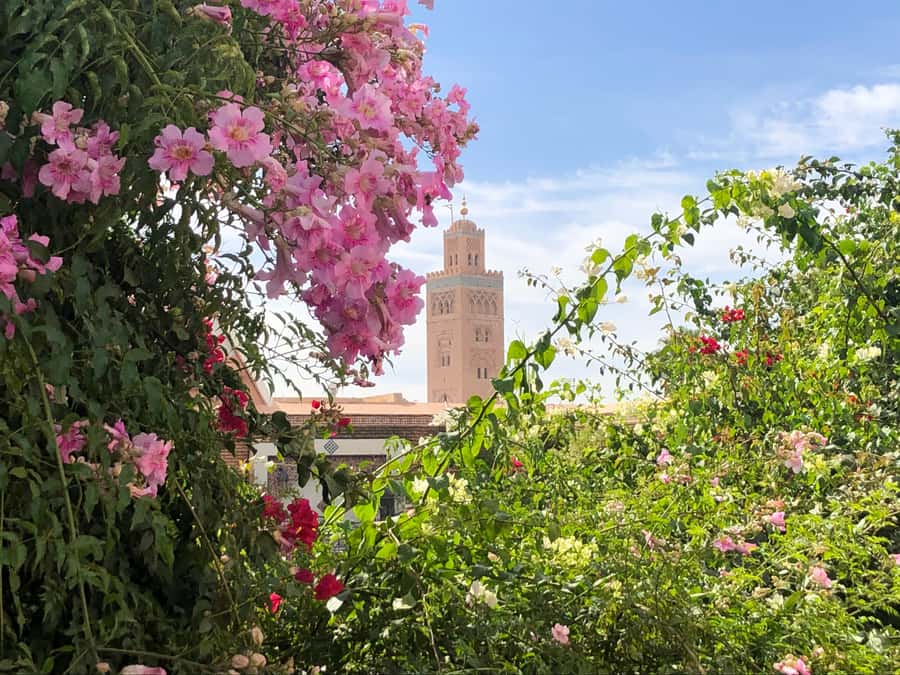 Marrakech: Customized Guided Walking Tour - Mint tea, cafés, and quieter Marrakech