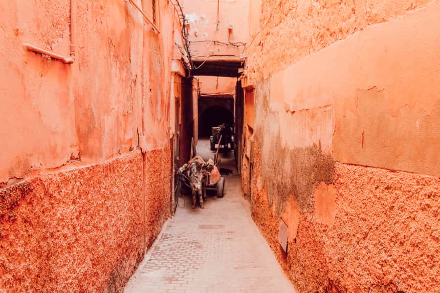 Marrakech: Customized Guided Walking Tour - Guide quality and language choice