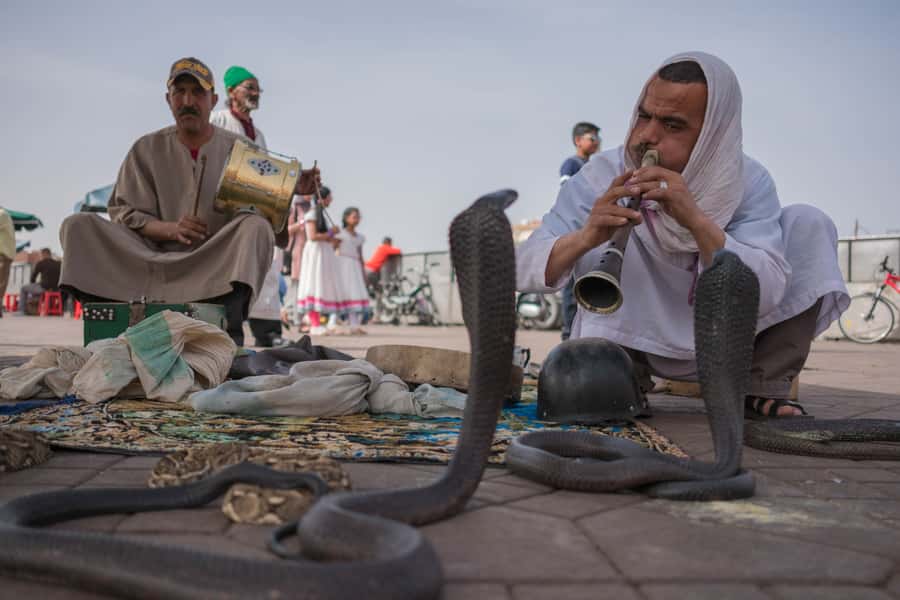 Marrakech: Customized Guided Walking Tour - Starting at Jamaa Lafna