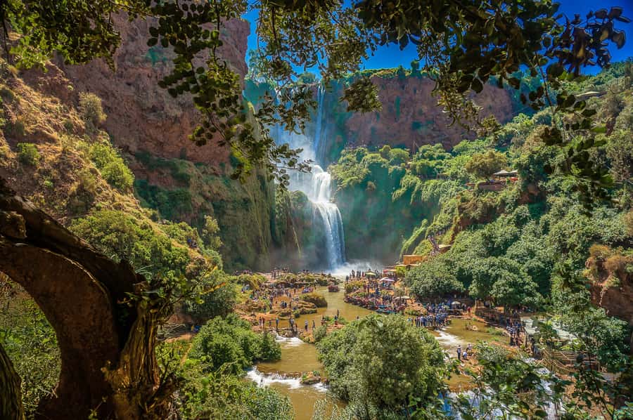 Marrakech: Day Tour to Ouzoud Waterfalls with Boat Trip - Who will enjoy this tour most