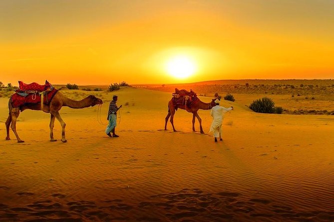 Marrakech Day Trip: Agafay Desert, Atlas Mountains and Camel Ride - Key Points Before You Book